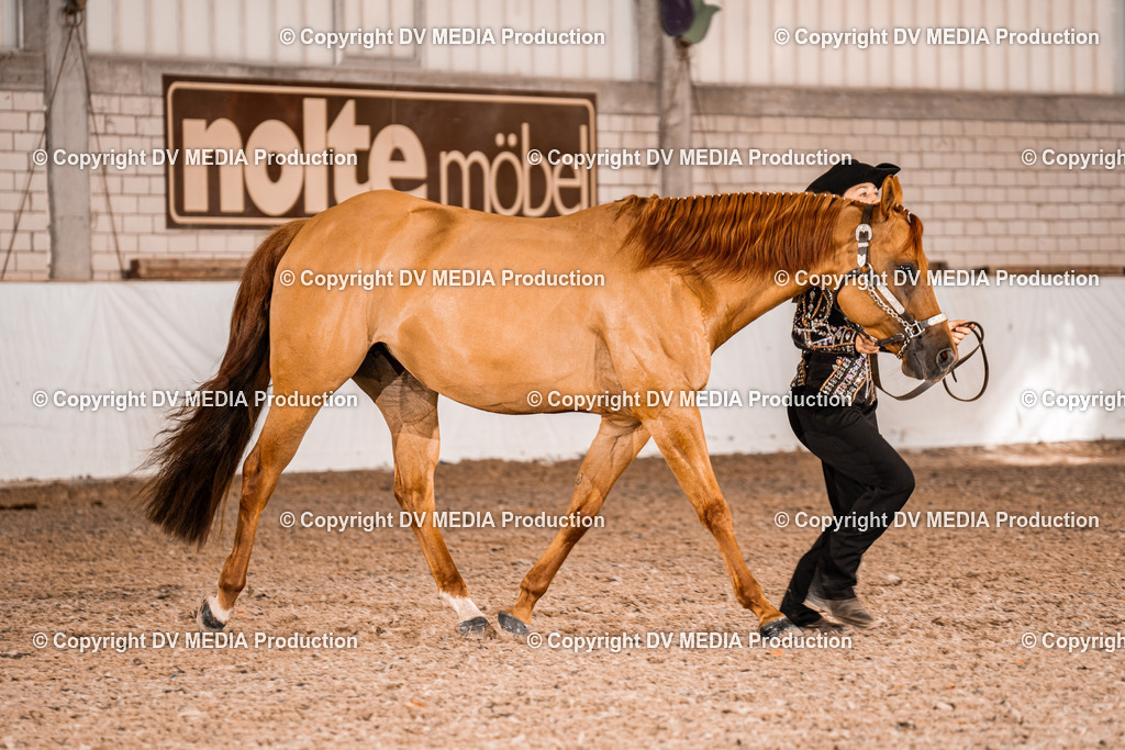 ZH100062 | dv-media-shop - Realisiert mit Pictrs.com