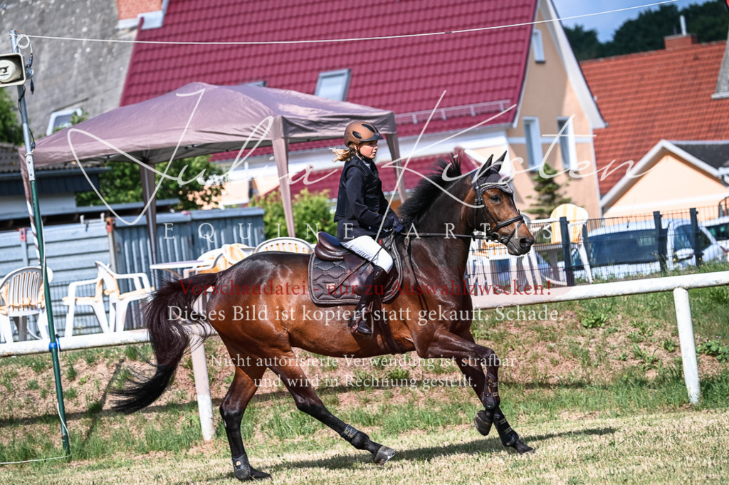 DSC_7974 | Pferde- und Turnierfotografie in Westsachsen. Pferdeportraits, Auftragszeichnungen und intuitive Kunst.