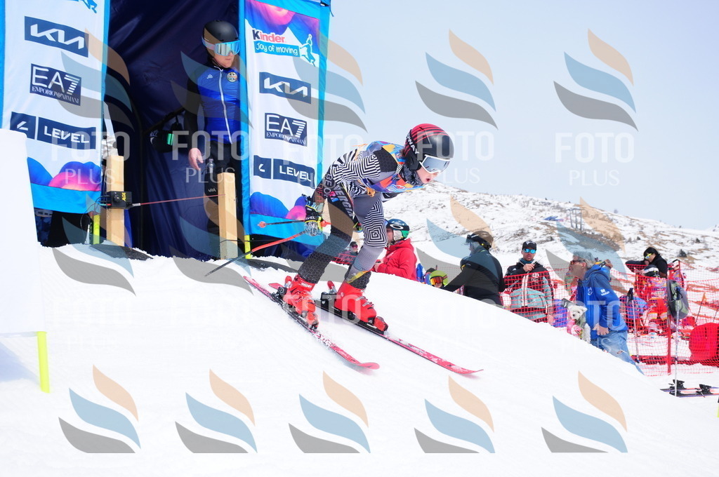 DSC_2177 | holidayphoto