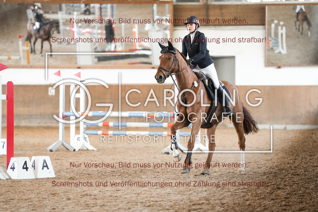 DSC09813 | Reitturnier_Göppingen_April_2026, Anna_Marlin_Stollwerck, Sheamus_HR