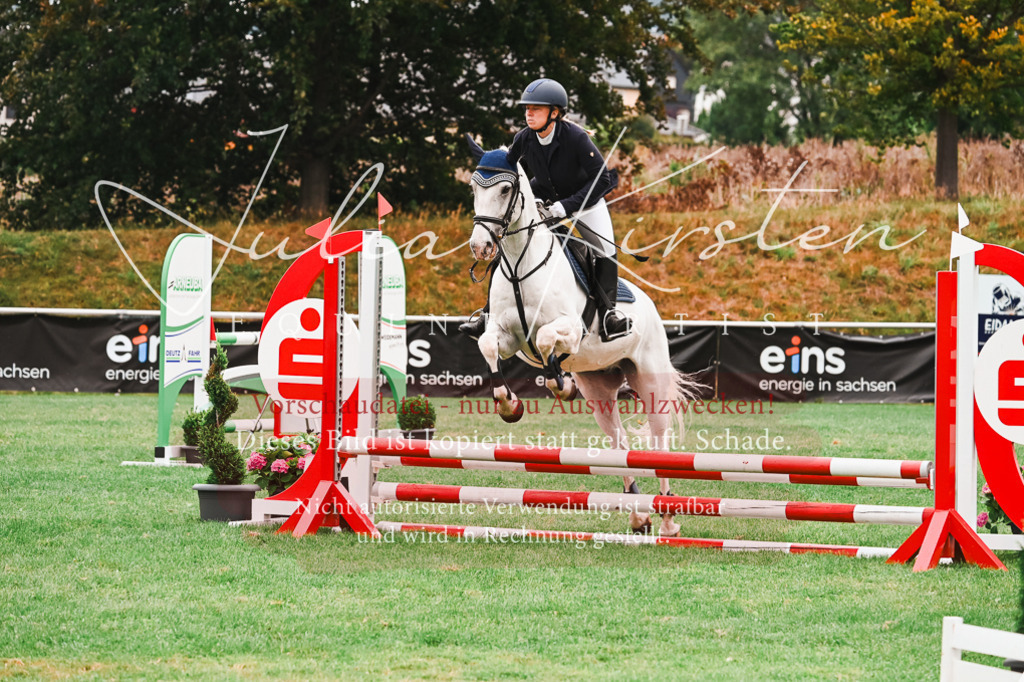 DSC_5937 | Pferde- und Turnierfotografie in Westsachsen. Pferdeportraits, Auftragszeichnungen und intuitive Kunst.