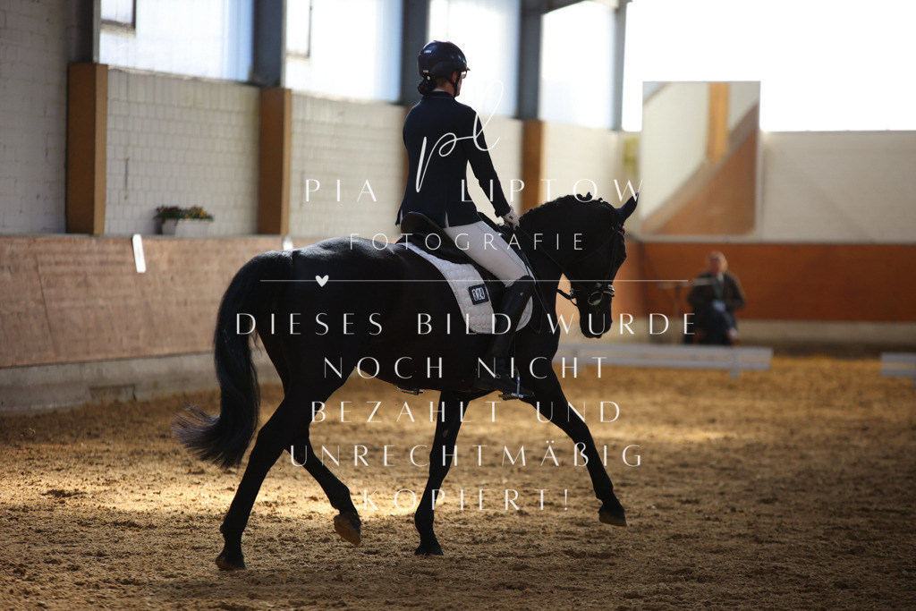 IMGT6504 | pl-fotografie