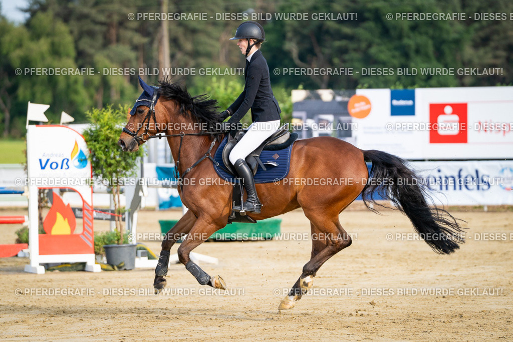 DSC02512 | Pferdegrafie