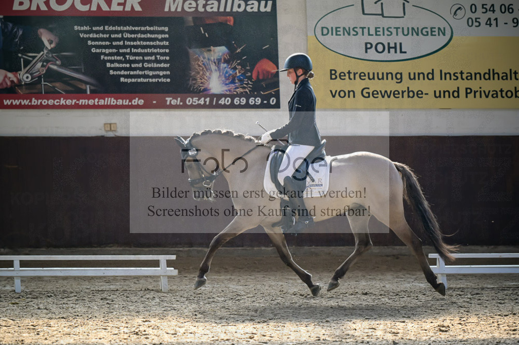Reitturnier Voxtrup | Entdecke hochwertige Reitturnierfotos von Foto Oger. Professionell, emotional und authentisch – jetzt Lieblingsmomente im Shop bestellen.Deutschlandweite Turnierfotografie. - Realisiert mit Pictrs.com