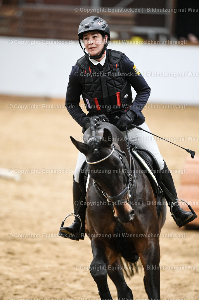 20260307_Hengstvorstellung-Marbach_0452 | equistock