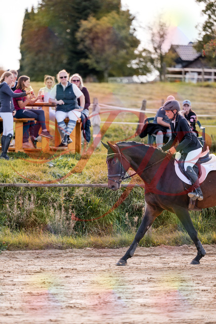 2026_10_03_Siefer-Hof_144101_Z81_12643341 | Professionelle Reitsport-, Turnier- und Eventfotografie von Robert Broda. Galerien mit ausgewählten und bearbeiteten Bildern direkt online ansehen und bestellen.