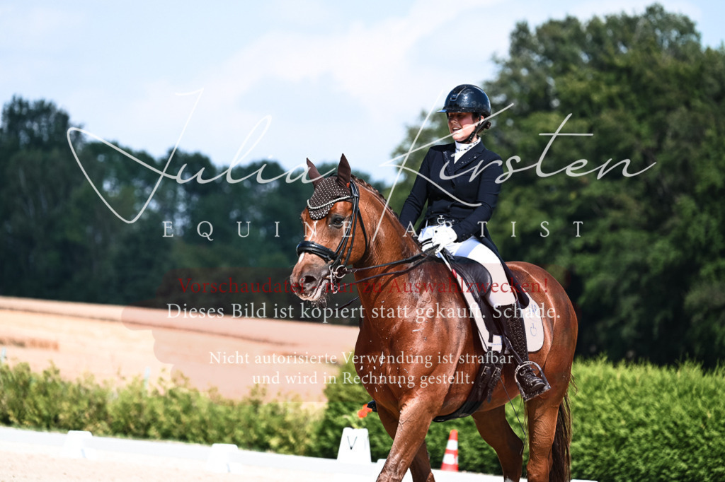 DSC_2886 | Pferde- und Turnierfotografie in Westsachsen. Pferdeportraits, Auftragszeichnungen und intuitive Kunst.