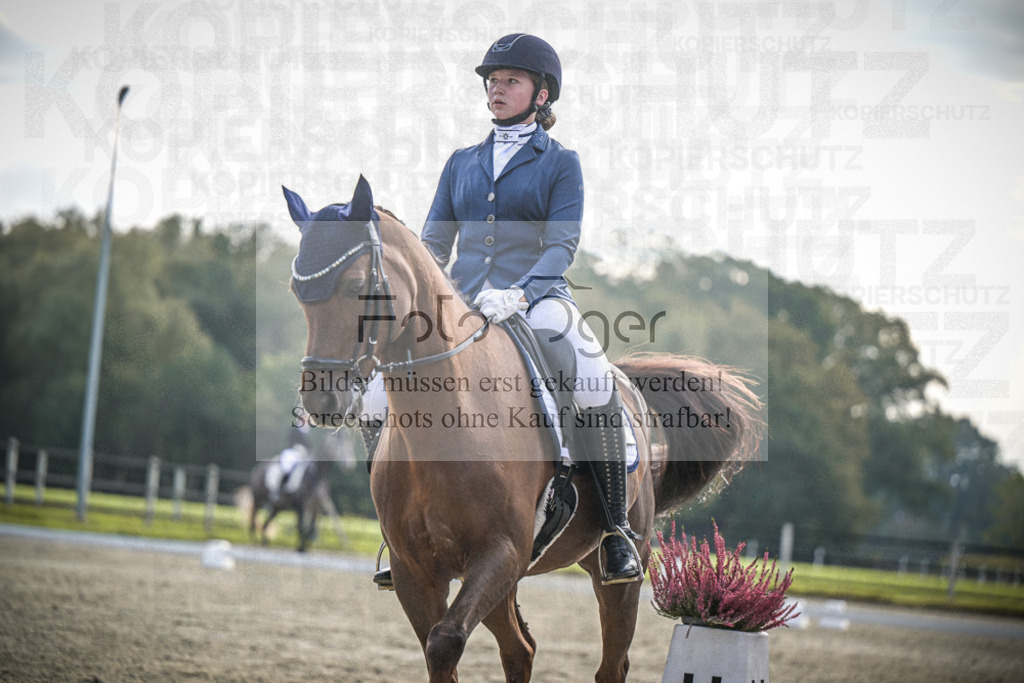 DOS_B170 | Entdecke hochwertige Reitturnierfotos von Foto Oger. Professionell, emotional und authentisch – jetzt Lieblingsmomente im Shop bestellen.Deutschlandweite Turnierfotografie. - Realisiert mit Pictrs.com