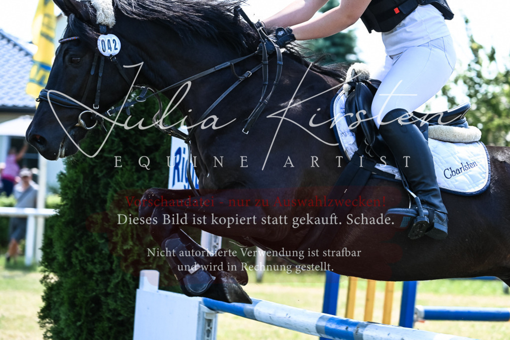 DSC_0423 | Pferde- und Turnierfotografie in Westsachsen. Pferdeportraits, Auftragszeichnungen und intuitive Kunst.