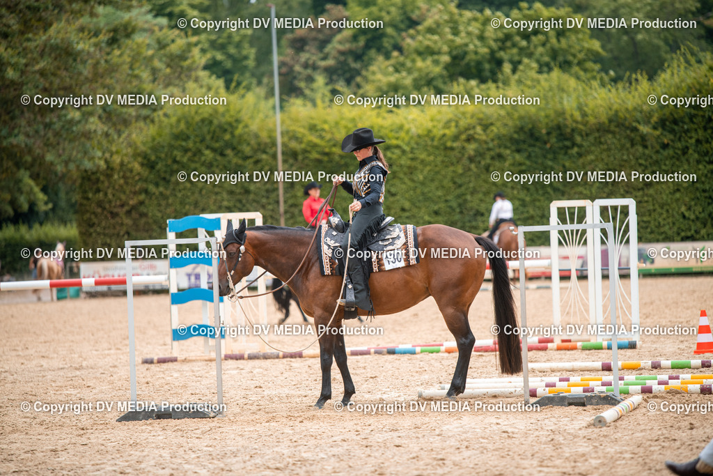 ZS2_7985 | dv-media-shop - Realisiert mit Pictrs.com