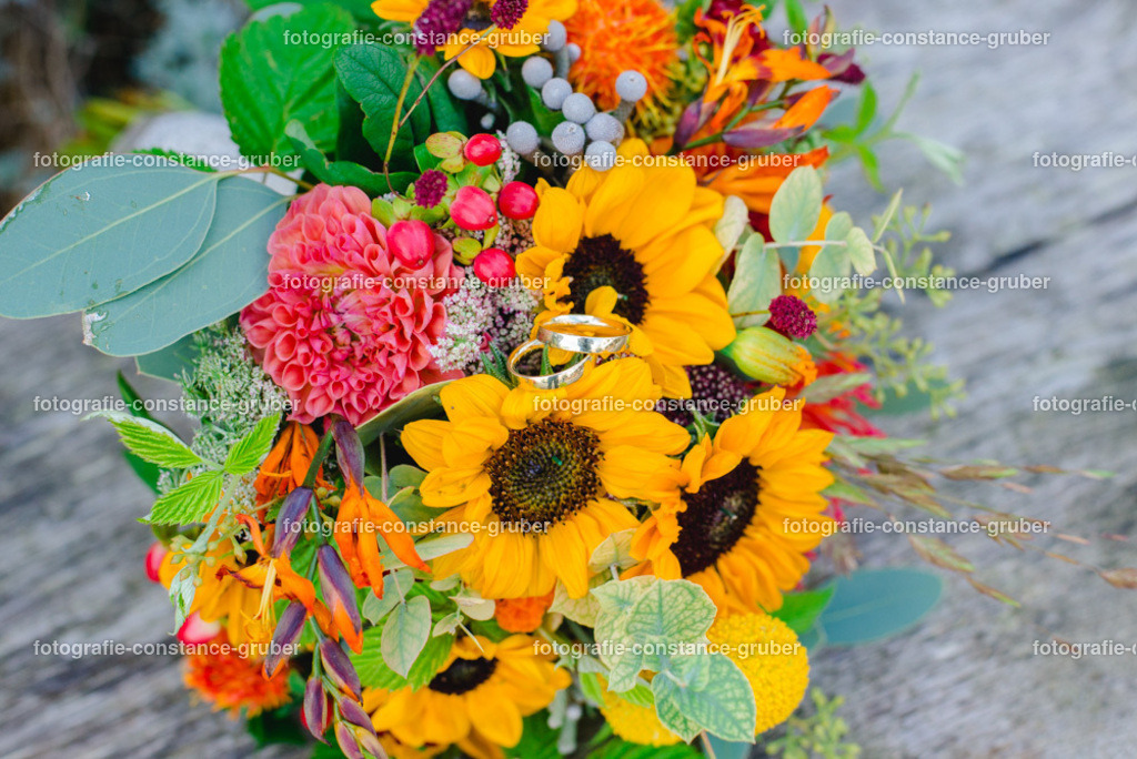 1020 | Fotografie Constance Gruber - Realisiert mit Pictrs.com