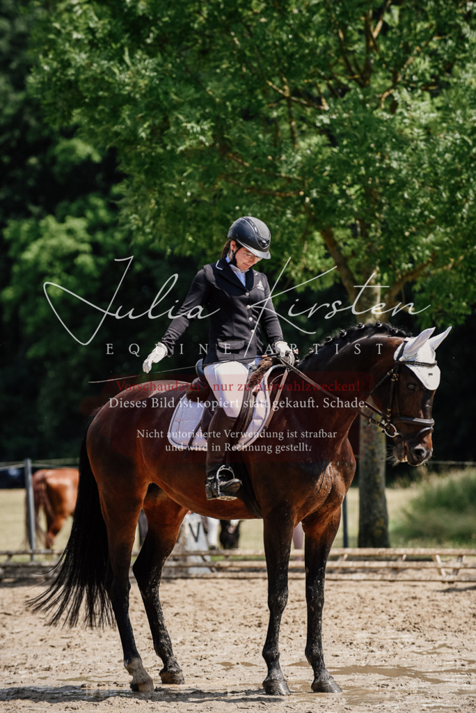 DSC_1033 | Pferde- und Turnierfotografie in Westsachsen. Pferdeportraits, Auftragszeichnungen und intuitive Kunst.