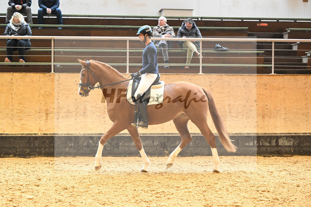 Kat-Nr. 3 Emily Rose_Eder_6222230 | hf-fotografie - Realisiert mit Pictrs.com