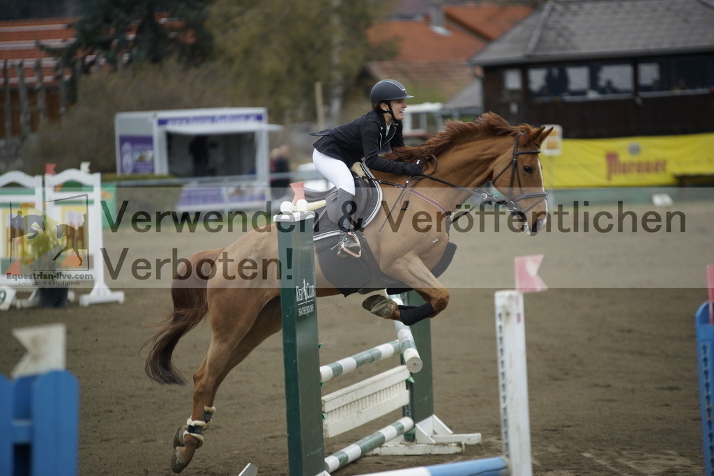 _DSC7065 | equestrian-live-com