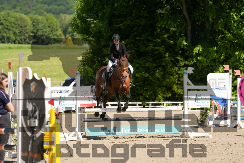 DSC02187 | Julian Held Fotografie - Realisiert mit Pictrs.com