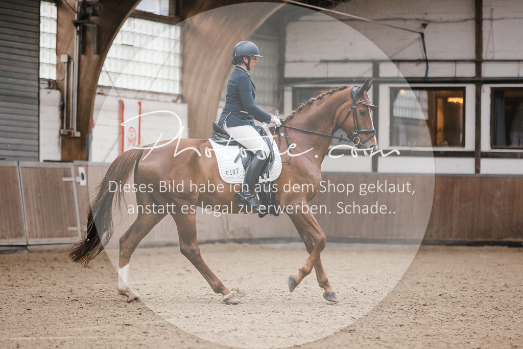 3I6A6204 | Stimmungsvolle Portraits und Reitsportfotografie im Ruhrgebiet und im Münsterland.

Pferdefotografie, Hundefotografie, Tierfotografie, Reportagen, Portraits von Tier und Mensch, Turnierfotografie in Bochum, Recklinghausen, Marl, Haltern am See, Dülmen.. - Realisiert mit Pictrs.com