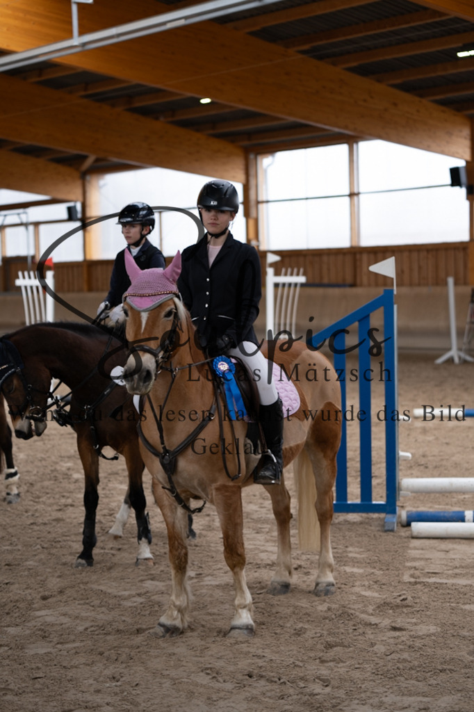 A7V00351 | Pferdefotograf