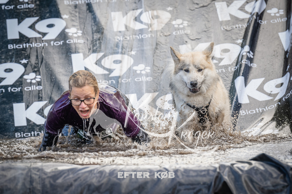 1529_ZZ94684 | kk-dogfotos