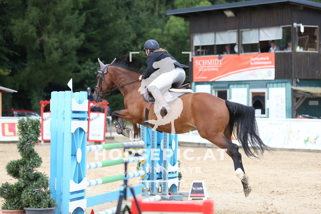 AS8V1857 | Willkommen bei Brunnmayr - Design & Fotografie – Ihrem Spezialisten für Reitturniere und Pferdeveranstaltungen in Oberösterreich, Salzburg und Bayern! Seit über 17 Jahren sind wir leidenschaftlich dabei.