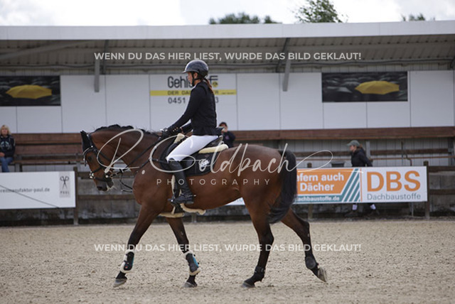 1J2A1740Sophie Kessel_ Universe 10_ Kn954_ Havekost | Foto- und Videografie für alles rund ums Pferd. Hochwertige Bilder und Videos vom Spring- und Dressurreiten, Voltigieren & mehr. Jetzt aktuelle Veranstaltungen und Preise im Shop ansehen. - Realisiert mit Pictrs.com