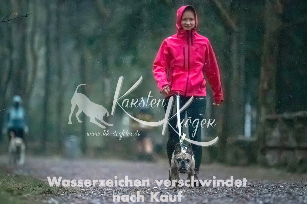 0833DZ6_3272 | kk-dogfotos