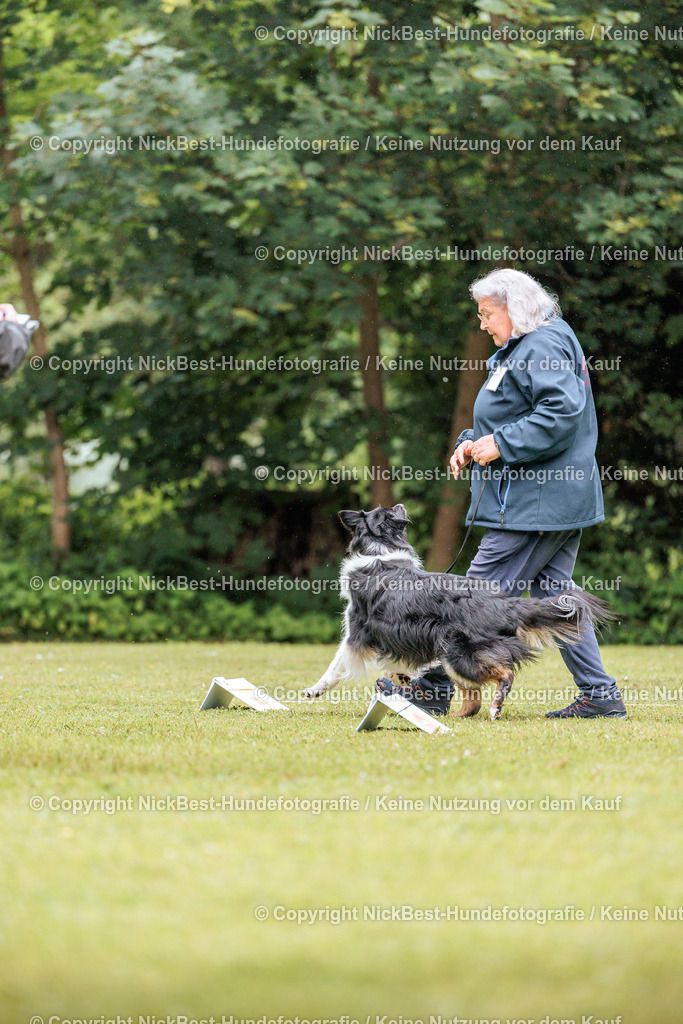 RO-Blumenthal-2026-Nickbest-Hundefotografie-3923 | Dein Hund! Dein Moment! Deine Erinnerungen! Hundefotografie in Bremen Blumenthal. Ich fange die besonderen Momente deines Vierbeiners ein – ob Indoor mit Blitzanlage oder in der freien Natur. Sicher dir dein Moment und dein Termin für eure Erinnerungen.