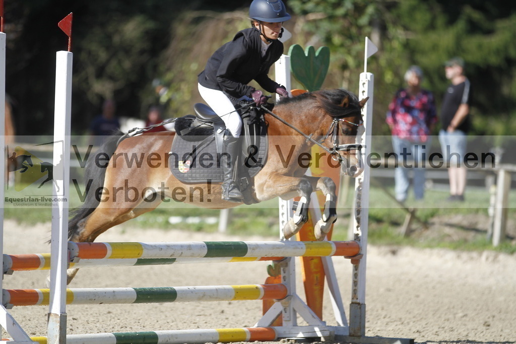 _MG_4251 | equestrian-live-com