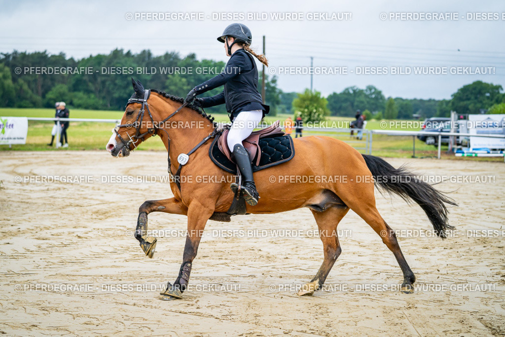 DSC01631 | Pferdegrafie