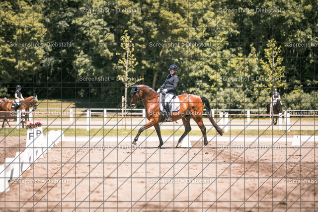 _W6A2288 | ronjaprokoschfotografie - Realisiert mit Pictrs.com