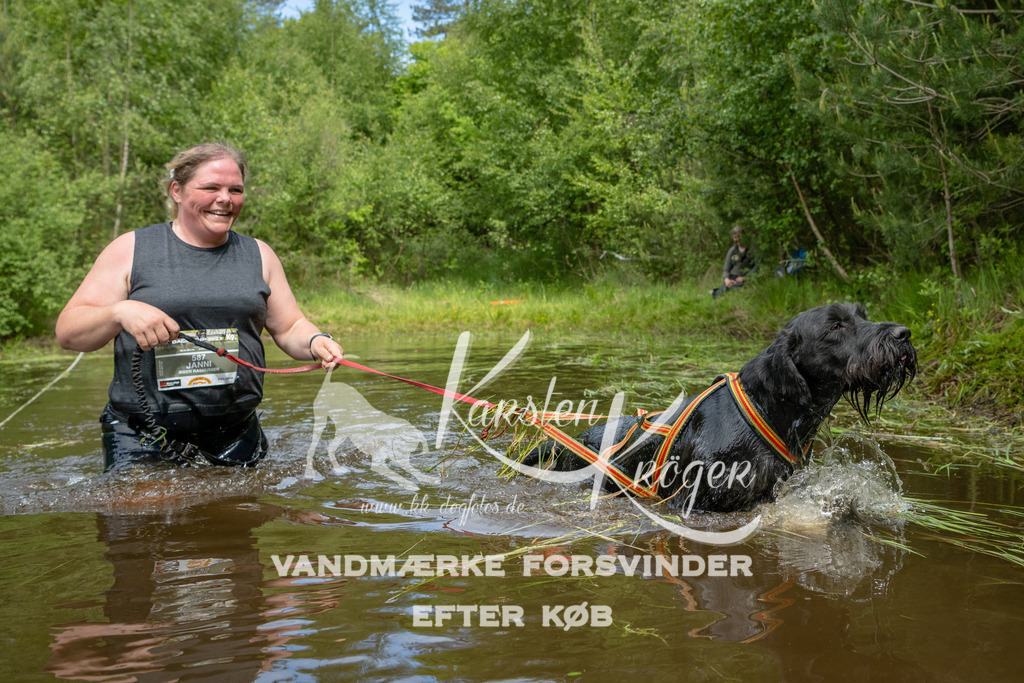 1117DKK994662 | kk-dogfotos