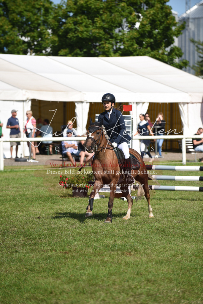 DSC_9065 | Pferde- und Turnierfotografie in Westsachsen. Pferdeportraits, Auftragszeichnungen und intuitive Kunst.