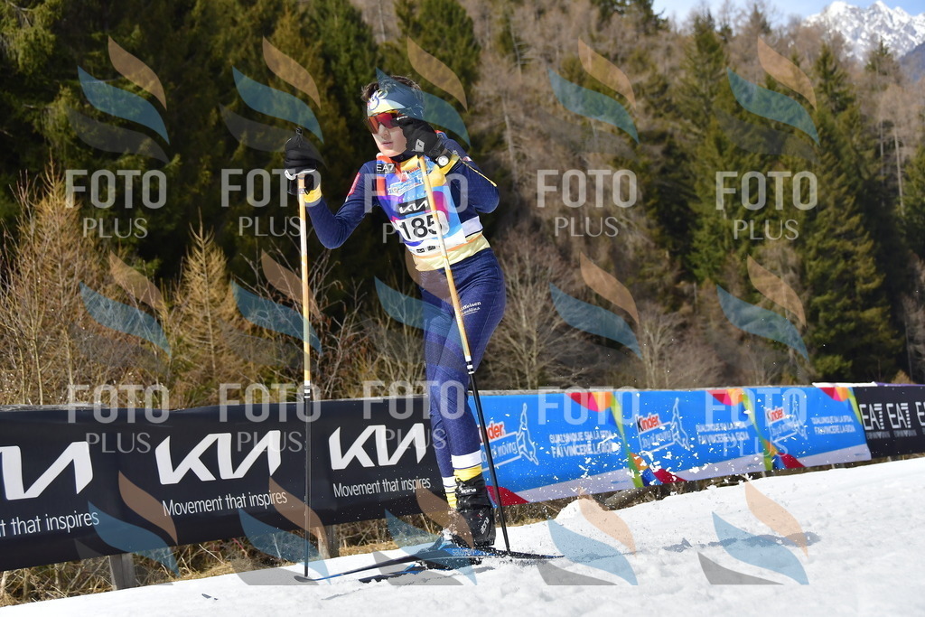 _DSC0867 | holidayphoto