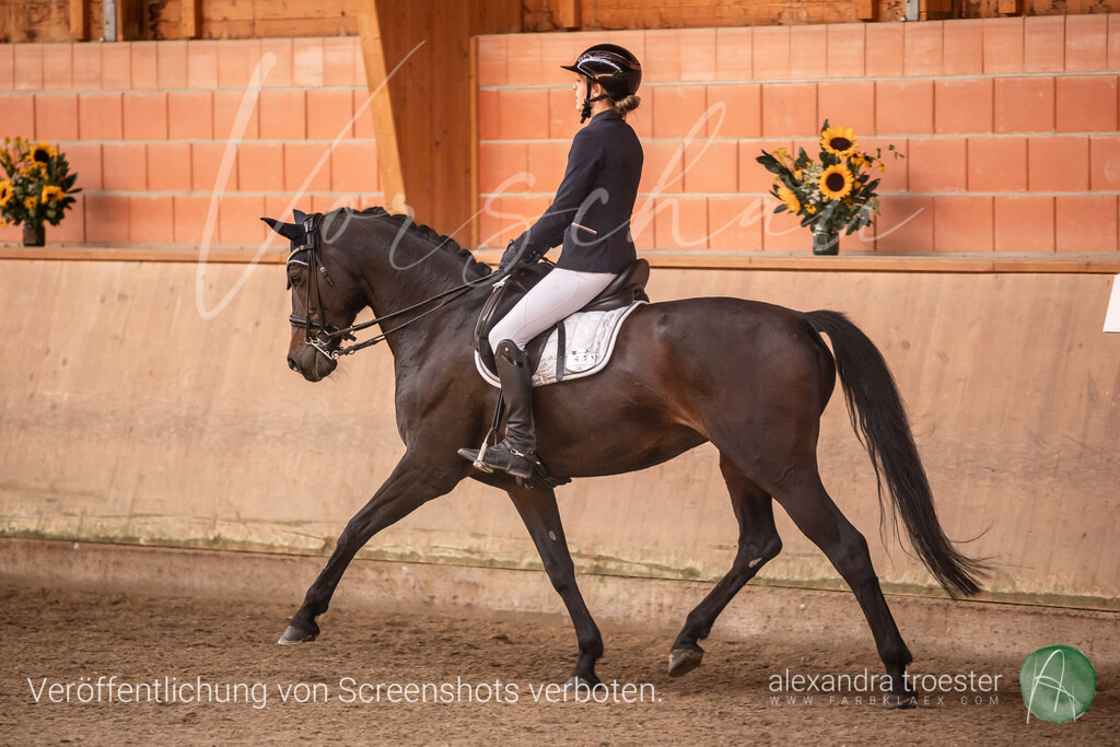 250914_Barop_14_065 | farbklaex.com