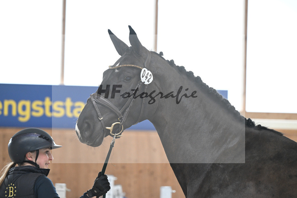 Kat-Nr. 42 I m Amy Blue VK v. I m Special de Muze_Vogelgut_14260226 | hf-fotografie - Realizzato con Pictrs.com