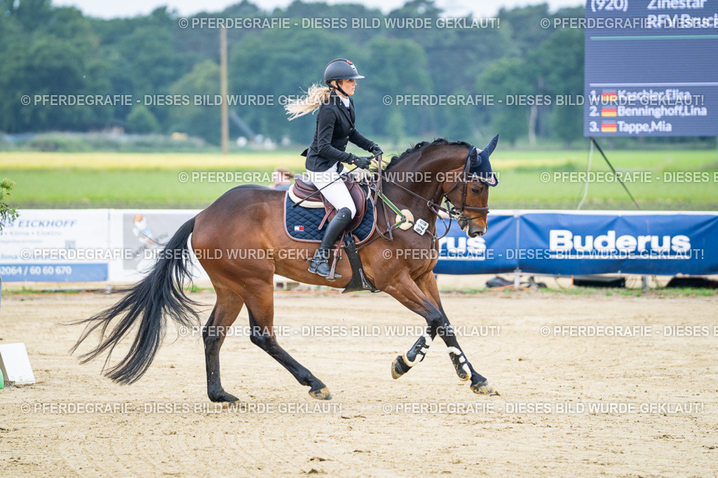 DSC03353 | Pferdegrafie