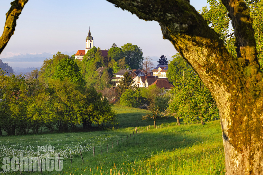 PS-Bodnegg-2026-01 | Entdecke die größte Bildgalerie der Region mit Fotografien aus dem Allgäu, der Bodenseeregion, Oberschwaben, dem Donautal und der Schwäbischen Alb. Landschaften, Luftaufnahmen und Reisefotografie als Wandbild und Fotokunst. - Realisiert mit Pictrs.com
