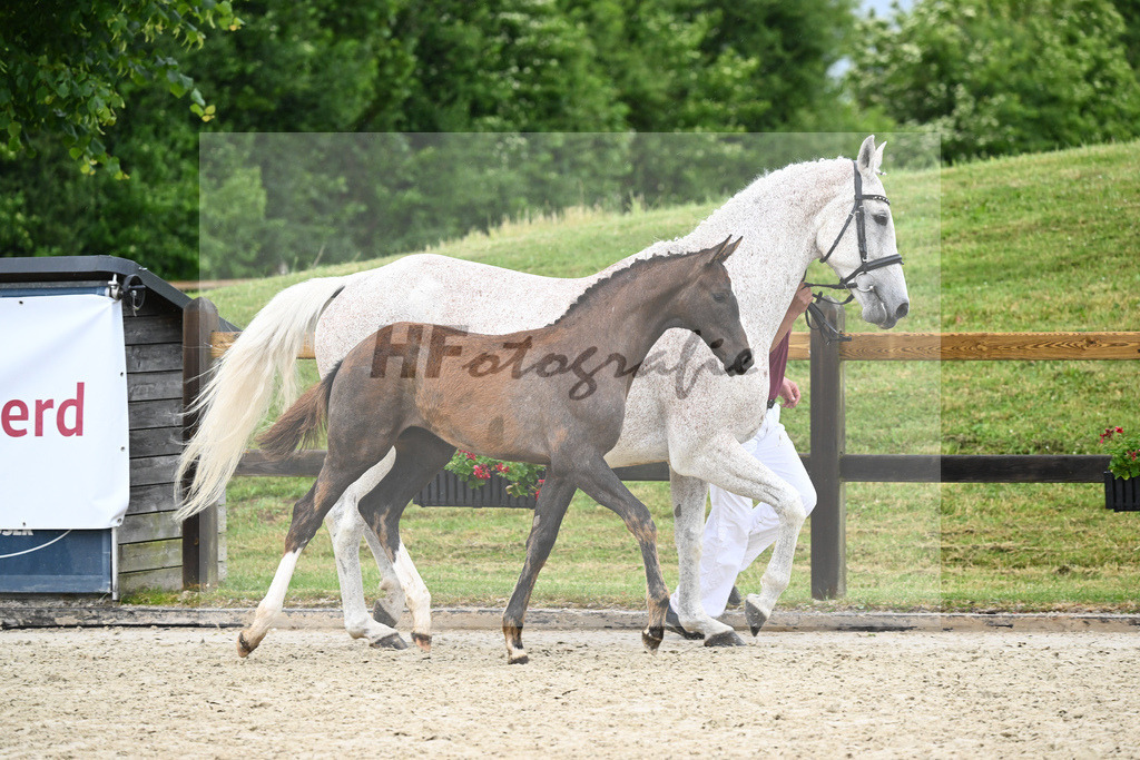 Kat-Nr. 42 SF Benicio_Rudolph_17231557 | hf-fotografie - Realisiert mit Pictrs.com