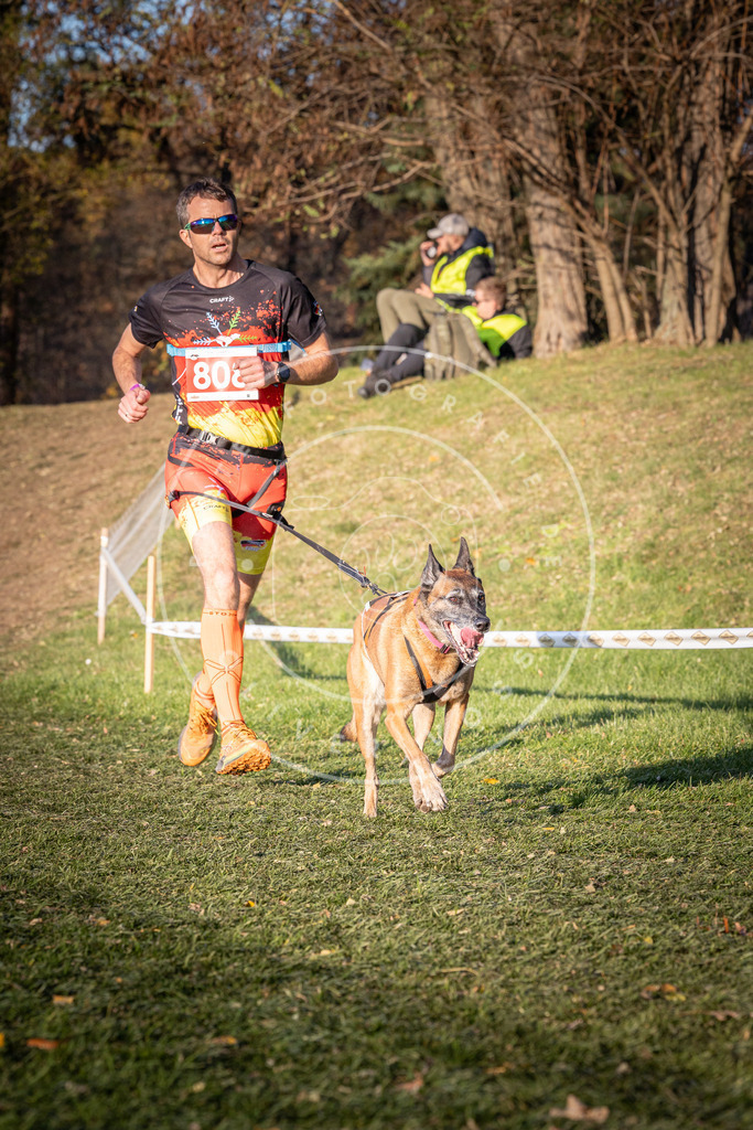CaniXpix_0L8A0412 | Hundefotografie, Tierfotograf, Pfotenfotografie, Fotoshooting Hund, Hunde Portrait, Hundesport, Hundeportraits, Heideshooting, Hunde, Sportfotograf, Hundefotograf, Turnierhundsport, THS,  - Realisiert mit Pictrs.com