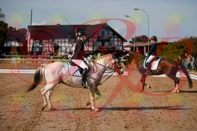 2026_10_03_Siefer-Hof_114727_Z63_26384894 | Professionelle Reitsport-, Turnier- und Eventfotografie von Robert Broda. Galerien mit ausgewählten und bearbeiteten Bildern direkt online ansehen und bestellen.