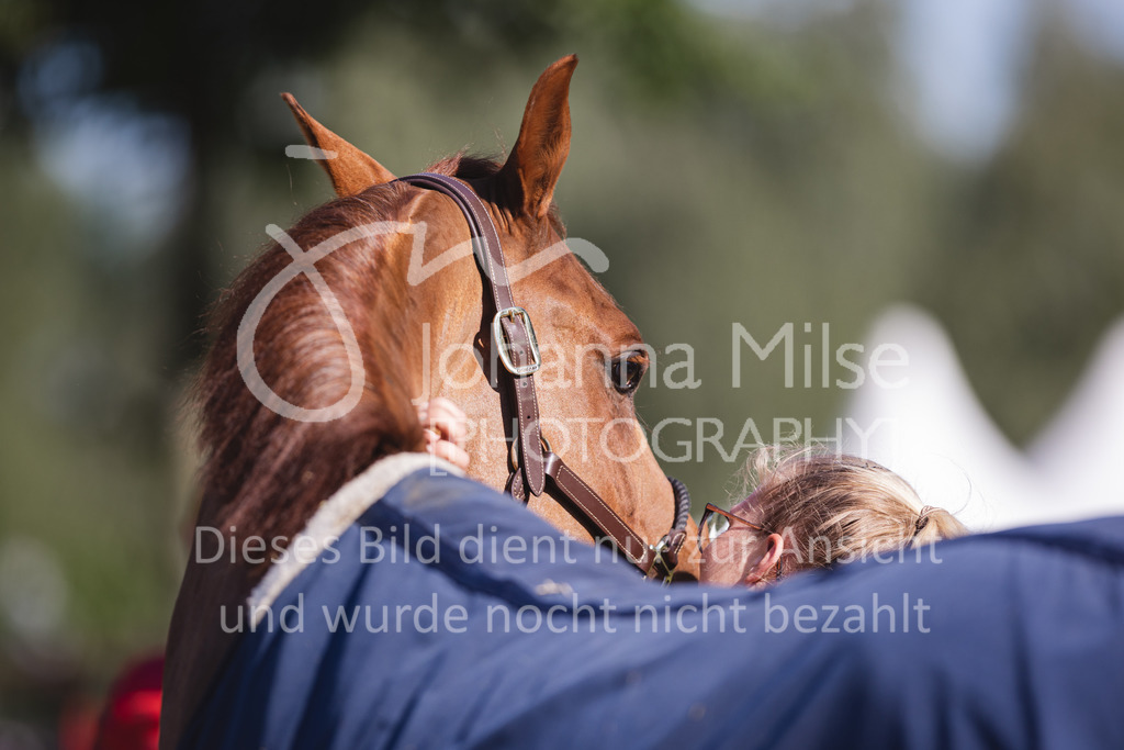 220603_CSI-Wohlde_Chillen-19 | Oerlinghausen Währentrup 26.08.2021, Stilspringprüfung Kl.A*