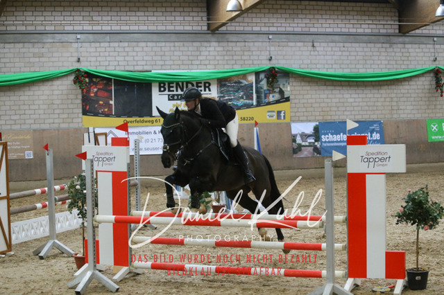 IMG_0599 | Turnierfotos kaufen im Webshop von Daniel Kuhl Photography – entdecke professionelle Reitsportfotos aus Turnieren & Events. Hochwertige Turnierbilder online bestellen & sichern. Jetzt Fotos von Reitsportturnieren kaufen!