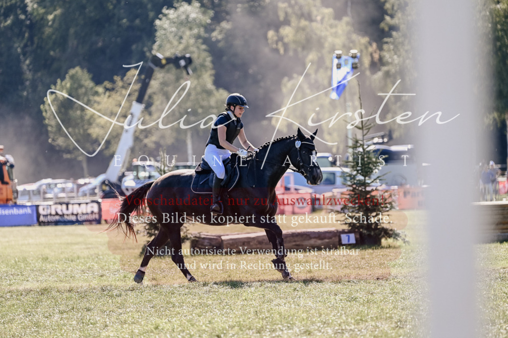 DSC_3549 | Pferde- und Turnierfotografie in Westsachsen. Pferdeportraits, Auftragszeichnungen und intuitive Kunst.