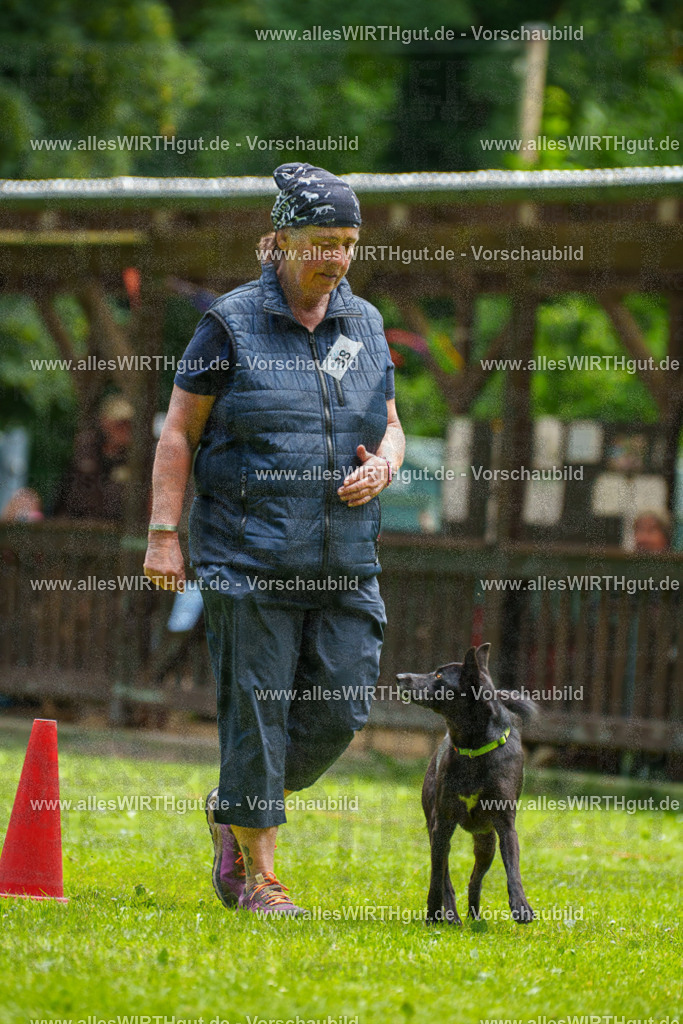 @allesWIRTHgut_Tierfotografie - www.allesWIRTHgut.de - 124502-7R509411 | Professionelle Tierfotografie in Mönchengladbach von Daniel Wirth (allesWIRTHgut). Liebevolle & natürliche Bilder von Hunden & Katzen für unvergessliche Erinnerungen.