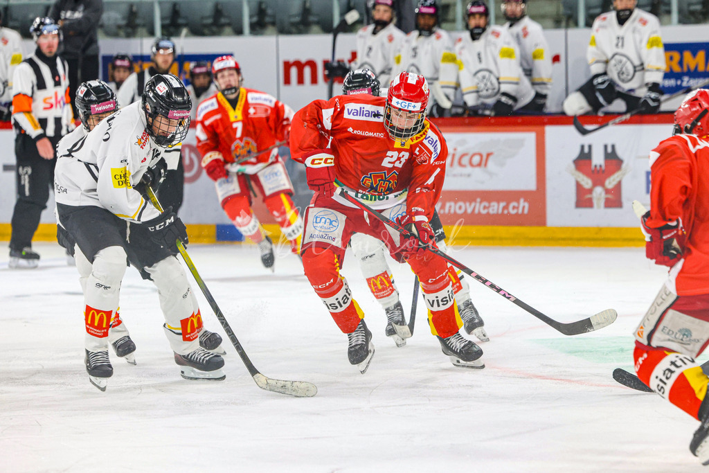 701A3193 | Sportbilder, Sportfotograf, Hochzeits- und Eventfotografin, Flugshows, Portraits und Tiershooting, Aviation, Downhill, Nationalleague, Swissleague, International