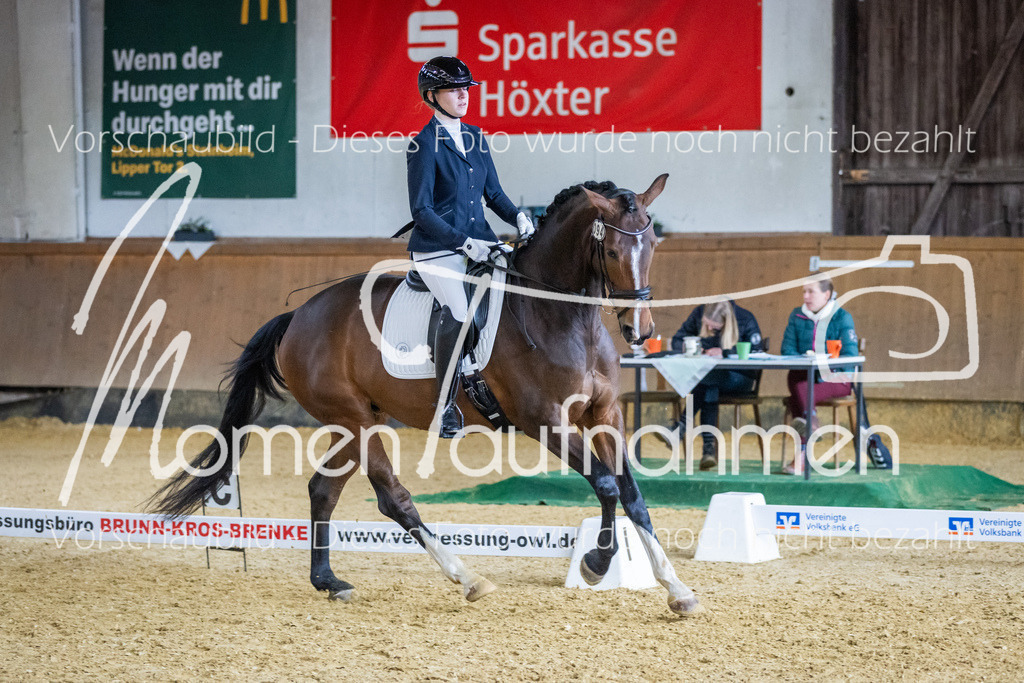 Sth-WBO25-EDr-114 | MomenTaufnahmen Pferdesportfotos