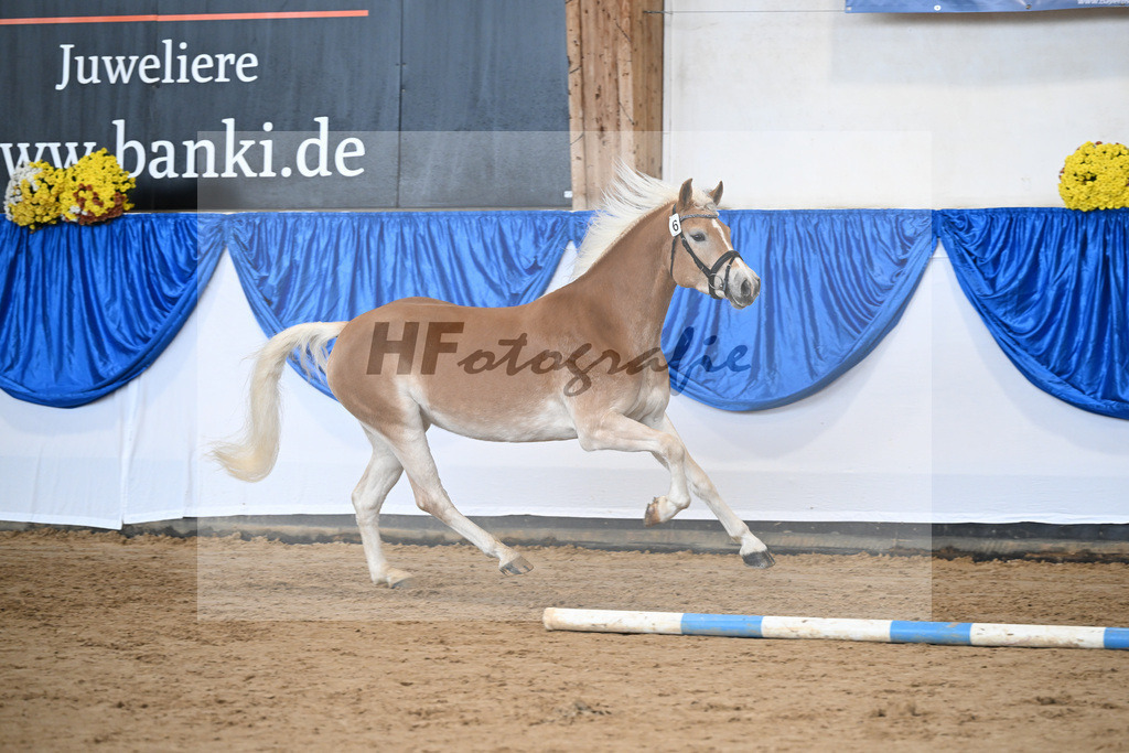 Bl. Band Kat-Nr. 6 Najen v. Sternzauber_Sturm_48251339 | hf-fotografie - Realisiert mit Pictrs.com