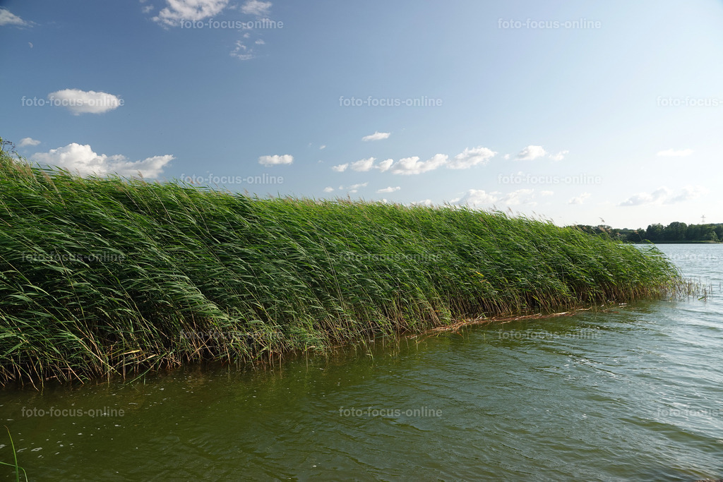 See_3 | Landscape photography, spectacular waves, Atlantic Ocean, Baltic Sea