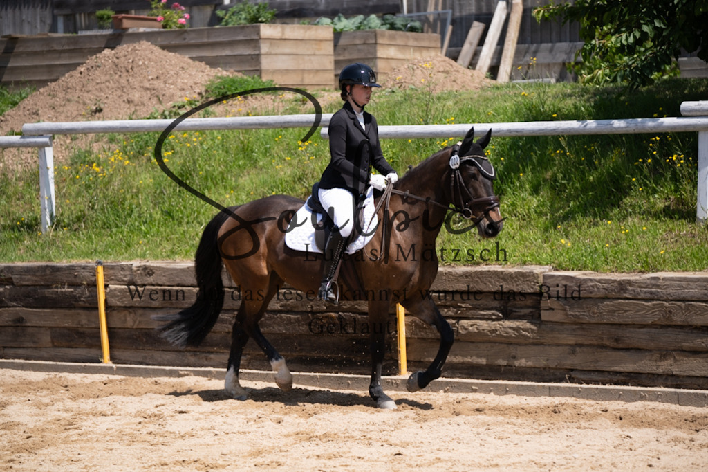 A7V08156 | Pferdefotograf