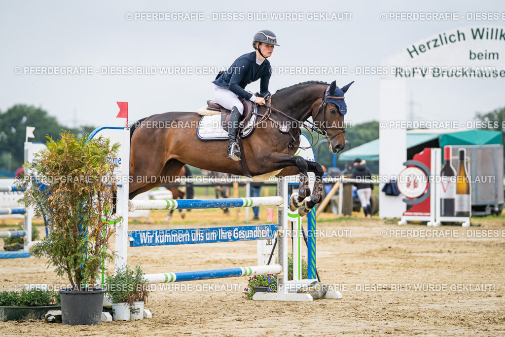 DSC02545 | Pferdegrafie