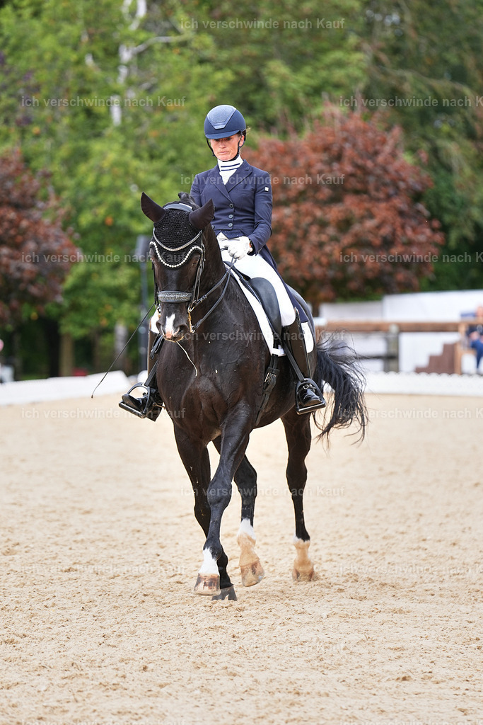 11-042-Dressur S___-Marixx-1665 | working equitationturnier fotograf videograf stoibphotography marixx film working equitation deutschland reitsport turnierfotografie eventfotografie equestrian events